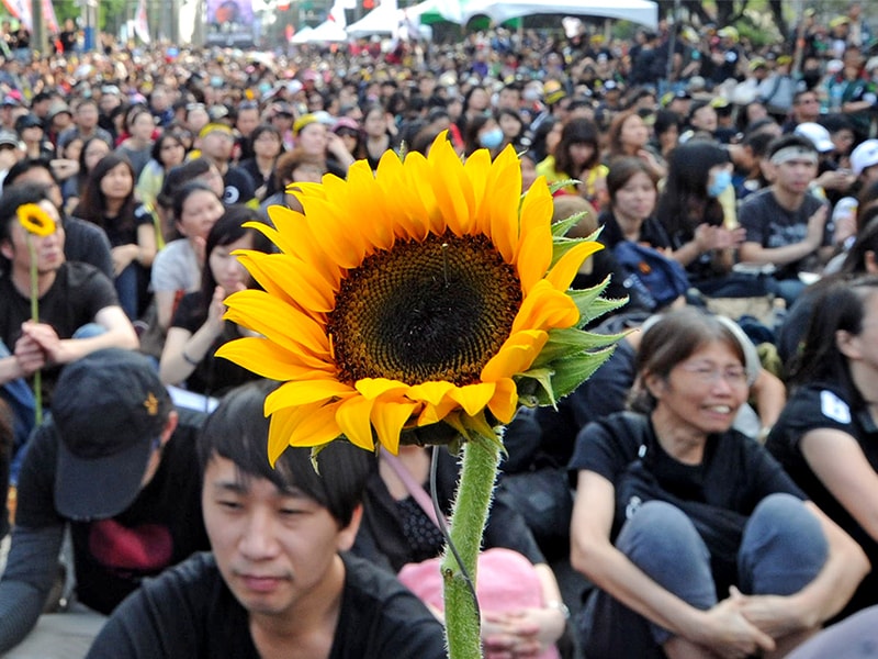 關鍵少數  年輕選票走向難測