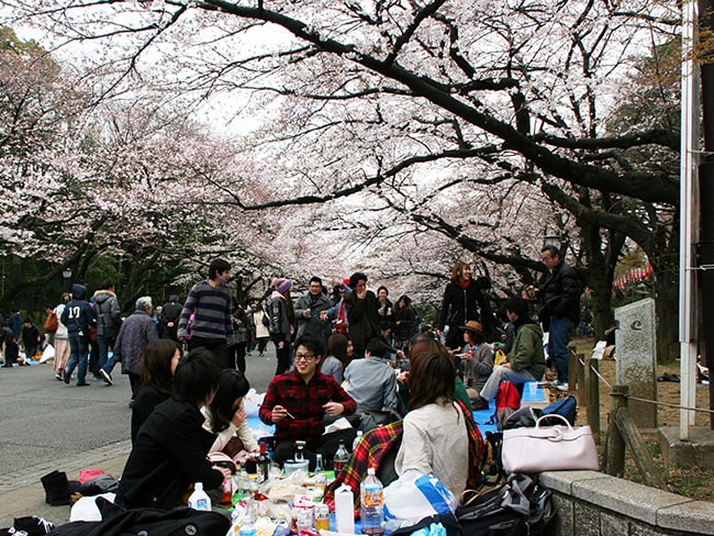 2011上野公園の花見