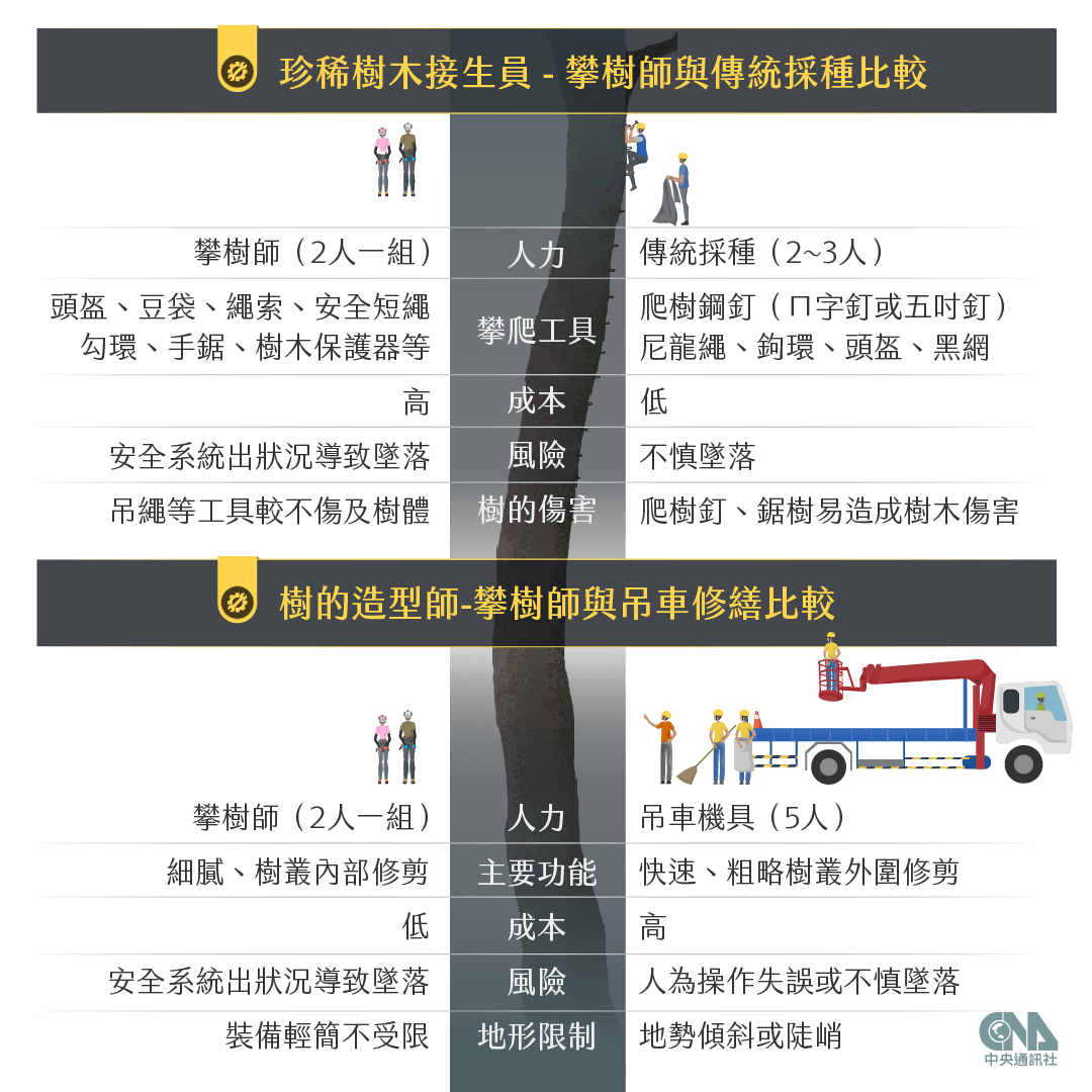 與傳統採種與修剪工作的比較