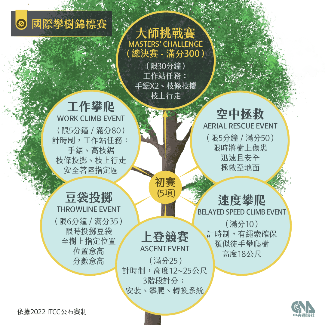 國際攀樹錦標賽