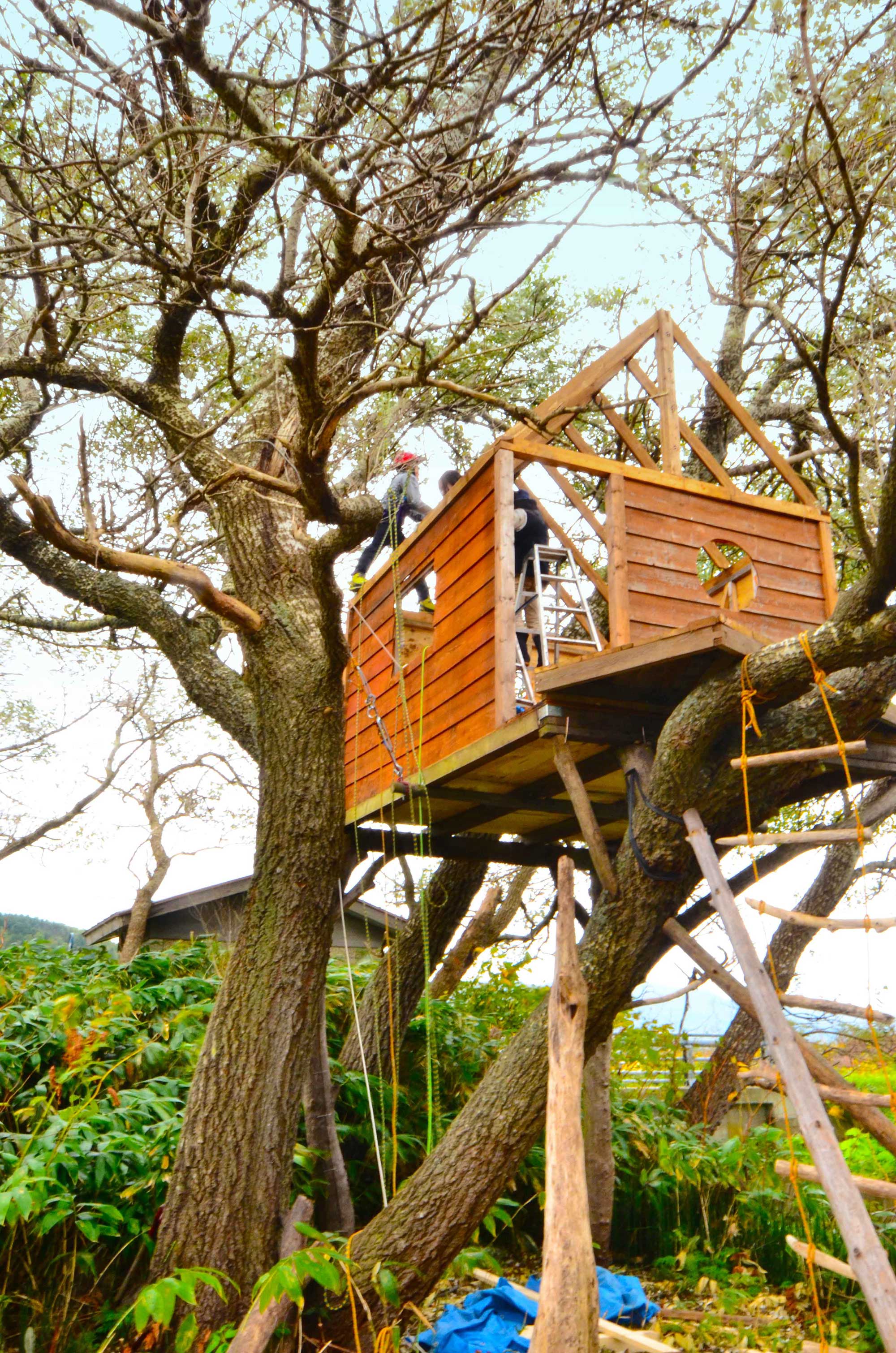 協力樹屋搭建