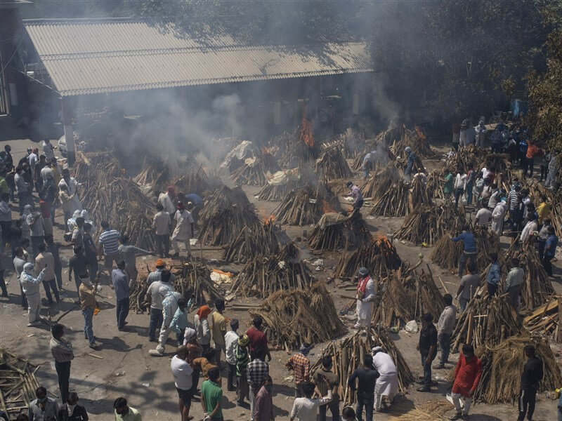 火葬場爆滿 只能砍樹燒屍